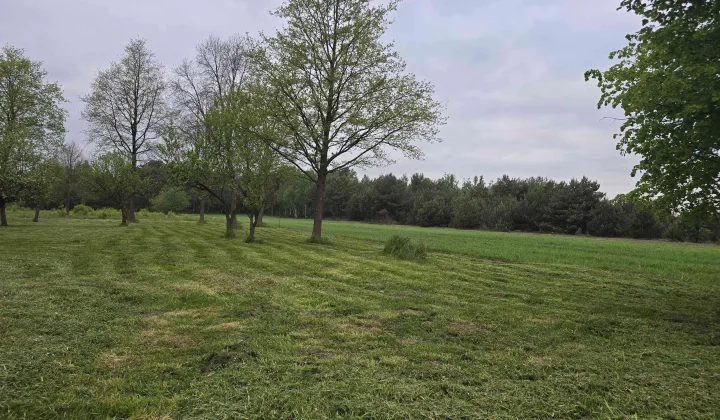 Działka budowlana Romanów