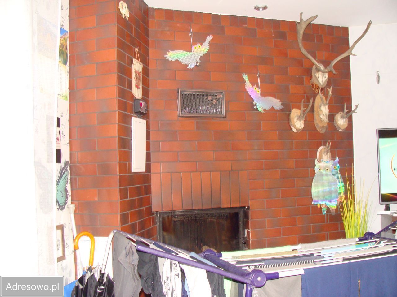 Działka rod Poznań Jeżyce, ul. Bukowska. Zdjęcie 4