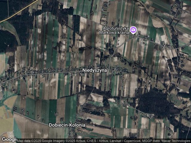 Działka rolno-budowlana Niedyszyna. Zdjęcie 1