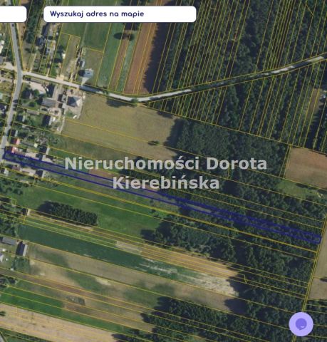 Działka siedliskowa Bukowiec nad Pilicą. Zdjęcie 3