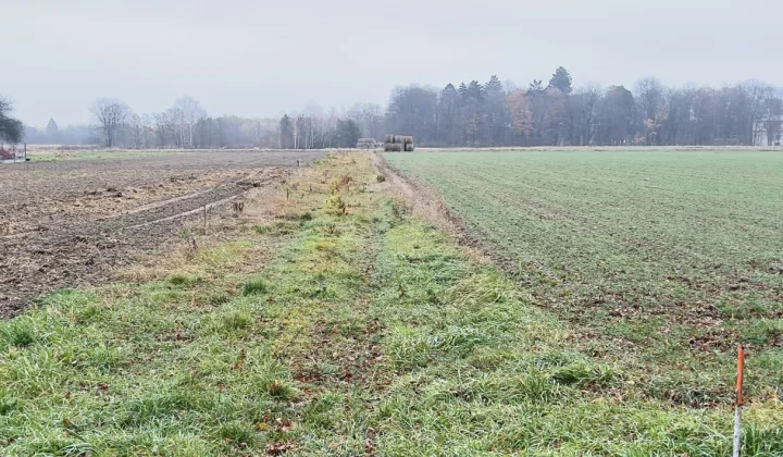 Działka rolna Styrzyniec Kolonia Styrzyniecka, ul. Słoneczna