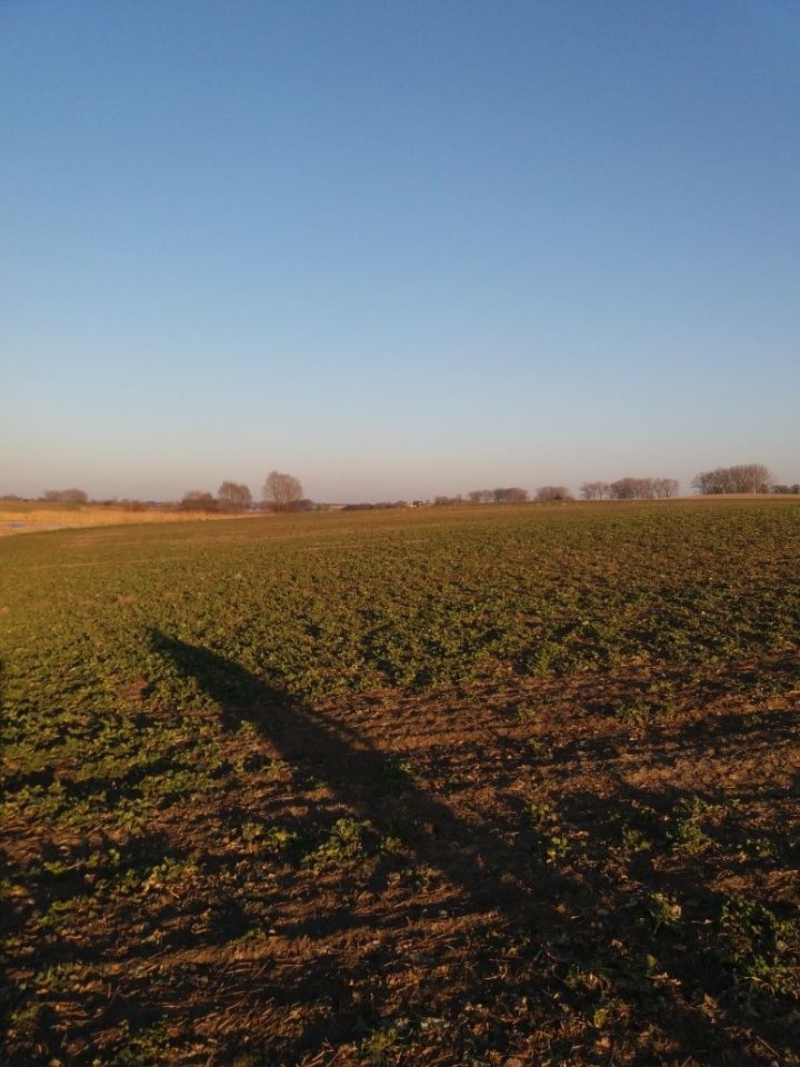 Działka rolna Kuczwały. Zdjęcie 5