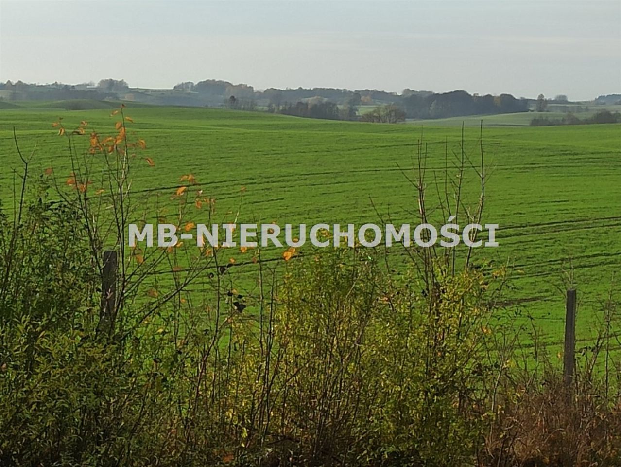 Działka rolna Jurgi. Zdjęcie 4