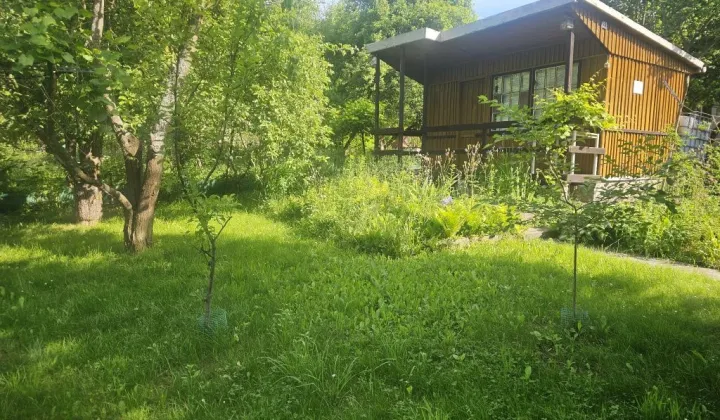 Działka rod Kielce Dyminy-Wieś
