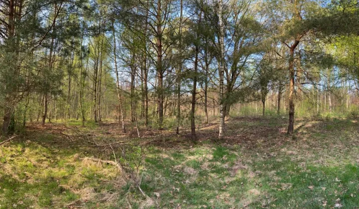 Działka rolna Buczek