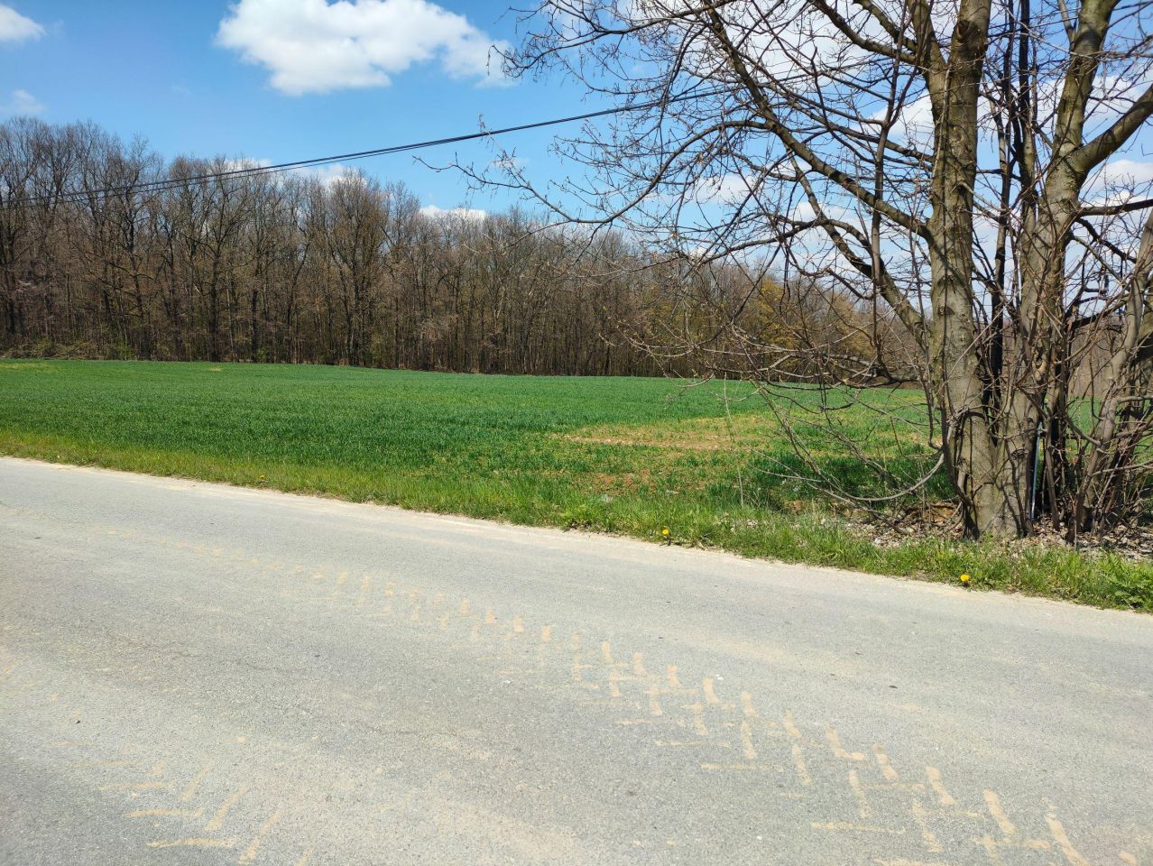 Działka budowlana Celiny. Zdjęcie 29