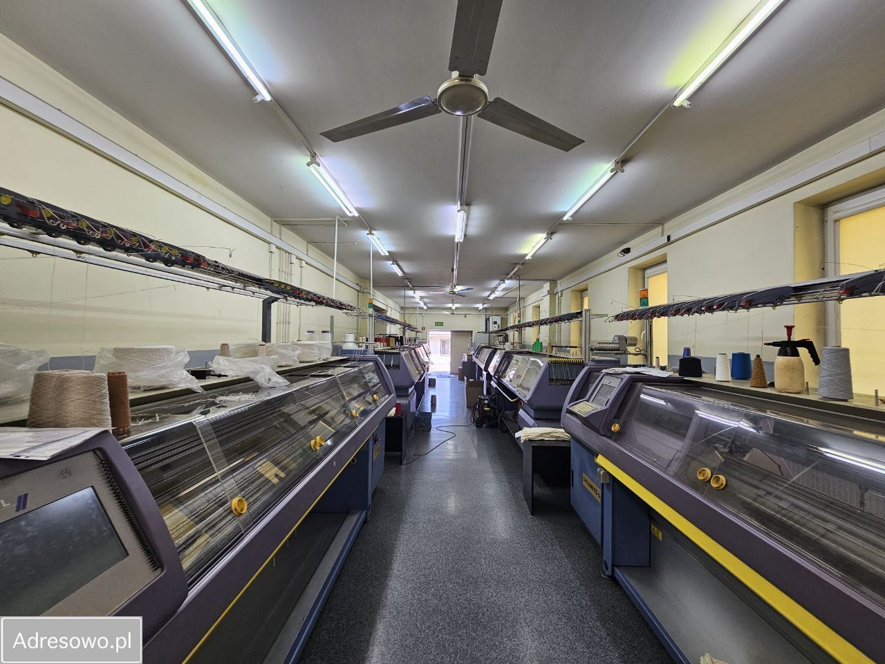 Hala/magazyn Tarnowskie Góry, ul. Cmentarna. Zdjęcie 3