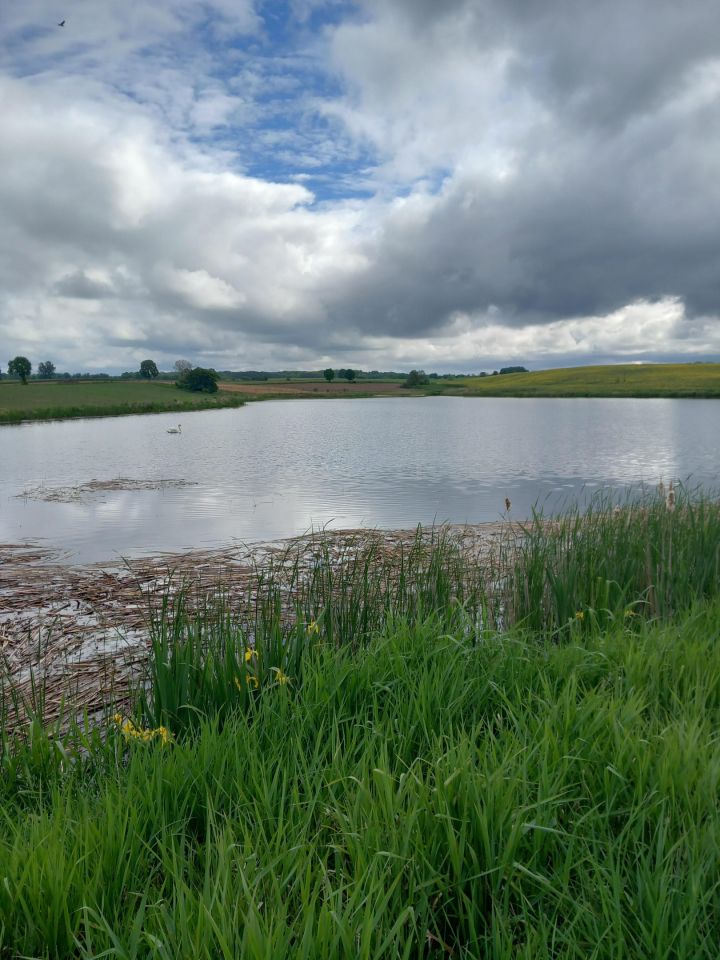 Działka budowlana Wapnica. Zdjęcie 3