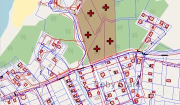 Działka leśna Tręby Stare