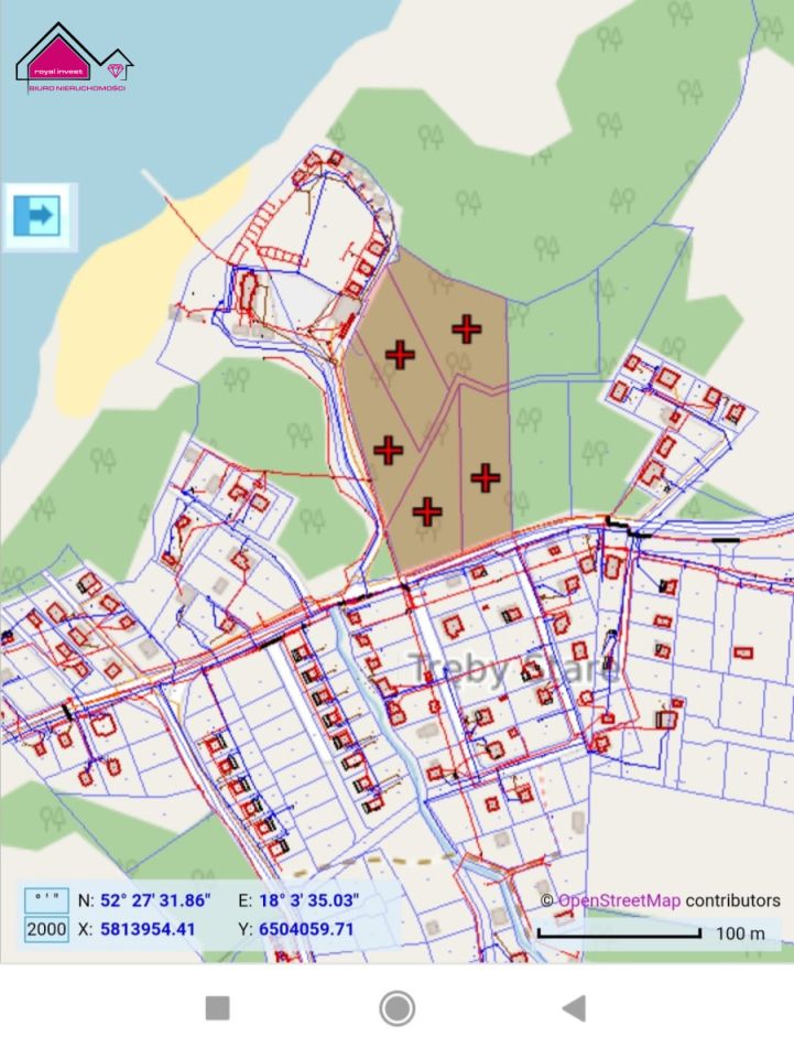 Działka leśna Tręby Stare