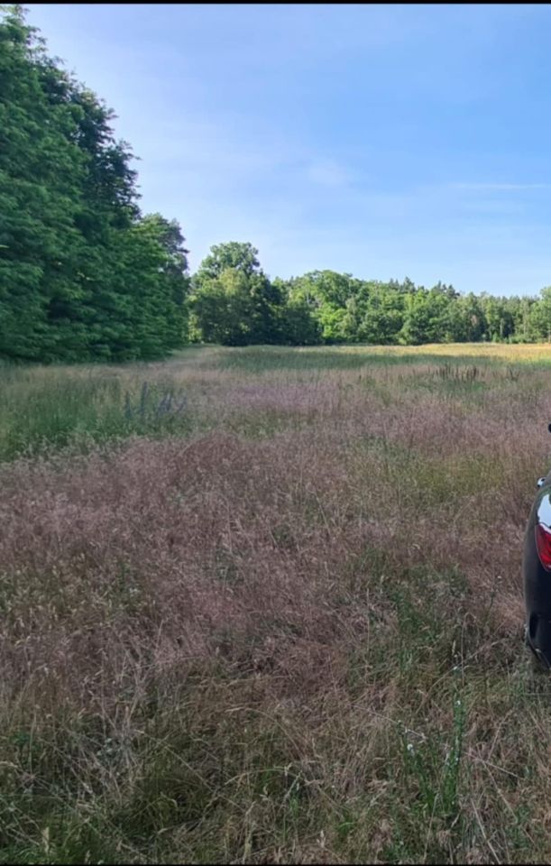 Działka budowlana Zarzewek. Zdjęcie 2