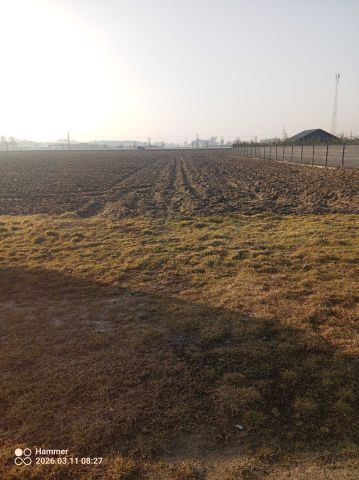 Działka budowlana Opalenica, ul. Magnoliowa. Zdjęcie 1