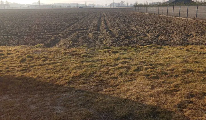 Działka budowlana Opalenica, ul. Magnoliowa