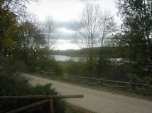 Działka rolno-budowlana Muntowo. Zdjęcie 4