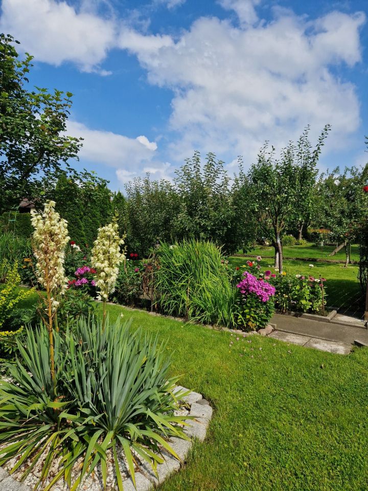 Działka rod Kołobrzeg. Zdjęcie 4