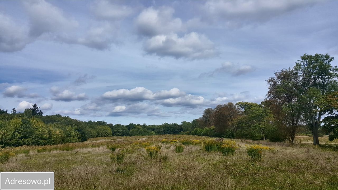 Działka budowlana Stolec. Zdjęcie 4