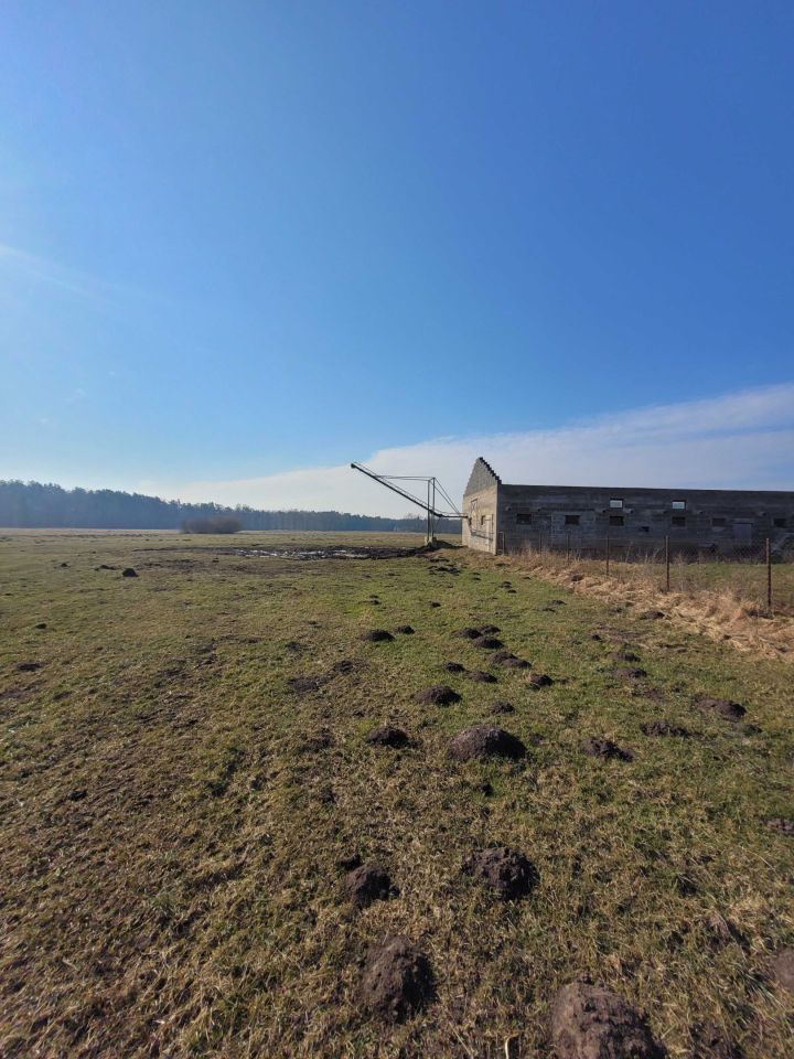 Działka rolno-budowlana Adamowo. Zdjęcie 4