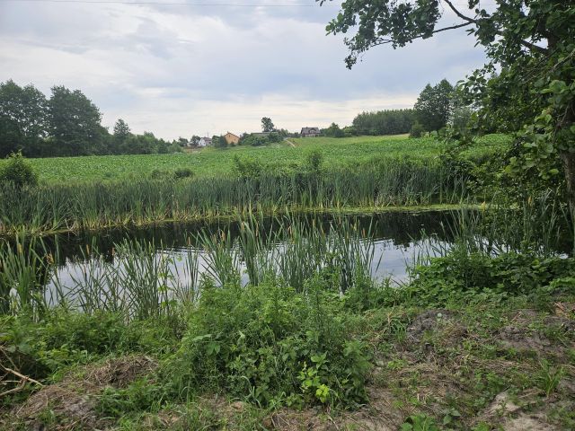 Działka budowlana Brzuze. Zdjęcie 7