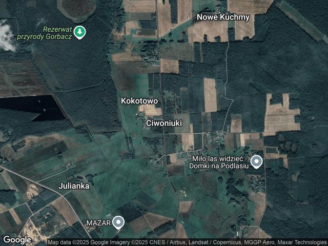 Działka leśna Ciwoniuki. Zdjęcie 1