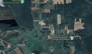Działka leśna Ciwoniuki