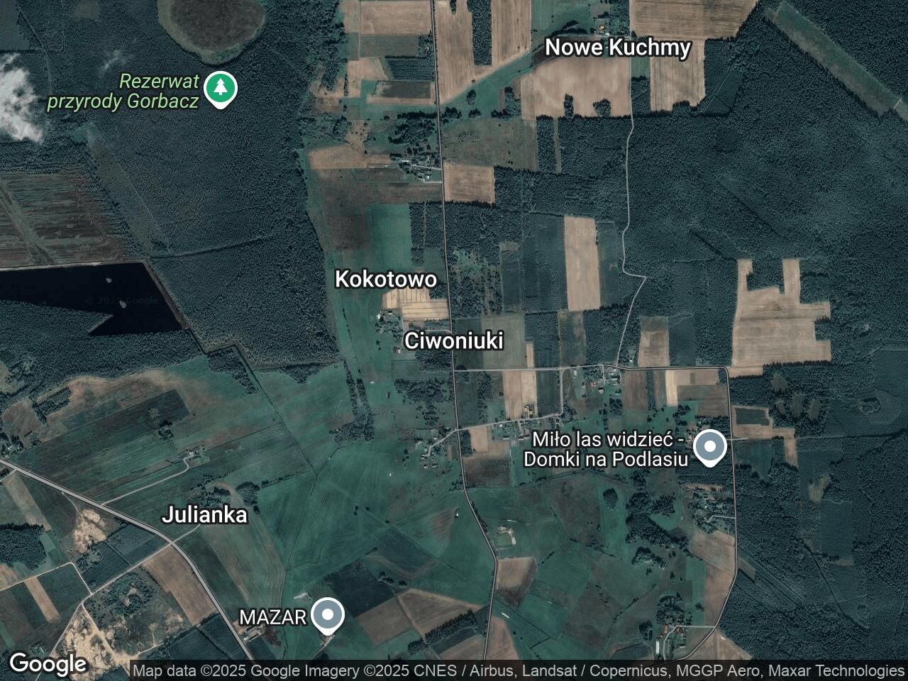 Działka leśna Ciwoniuki