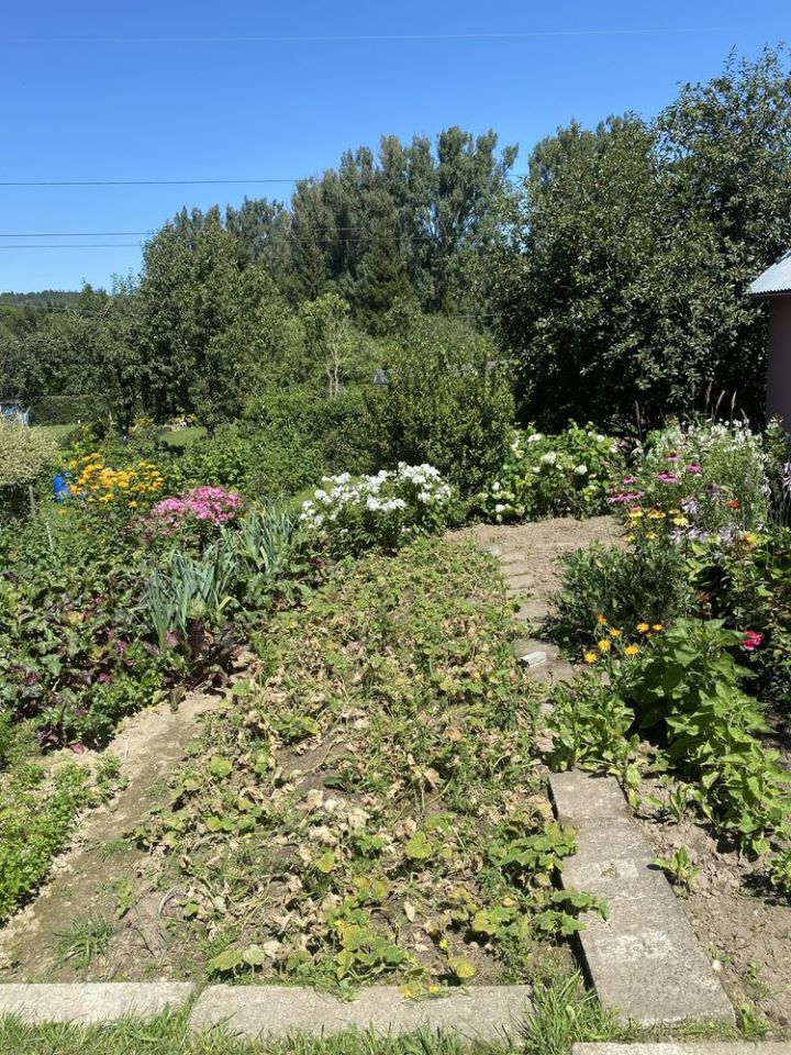 Działka rod Kamienna Góra, ul. Przemysłowa. Zdjęcie 5