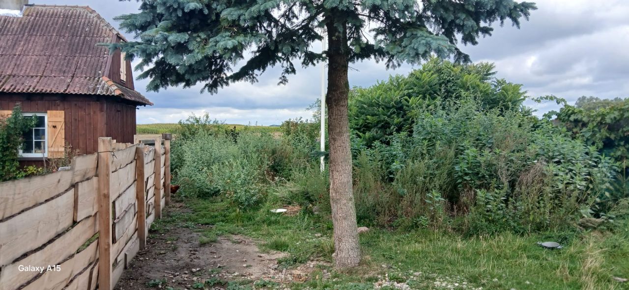 siedlisko, 3 pokoje Szonowo Szlacheckie. Zdjęcie 10