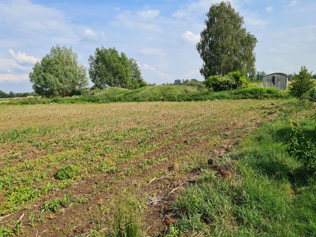 Działka budowlana Osiek Wielki. Zdjęcie 4