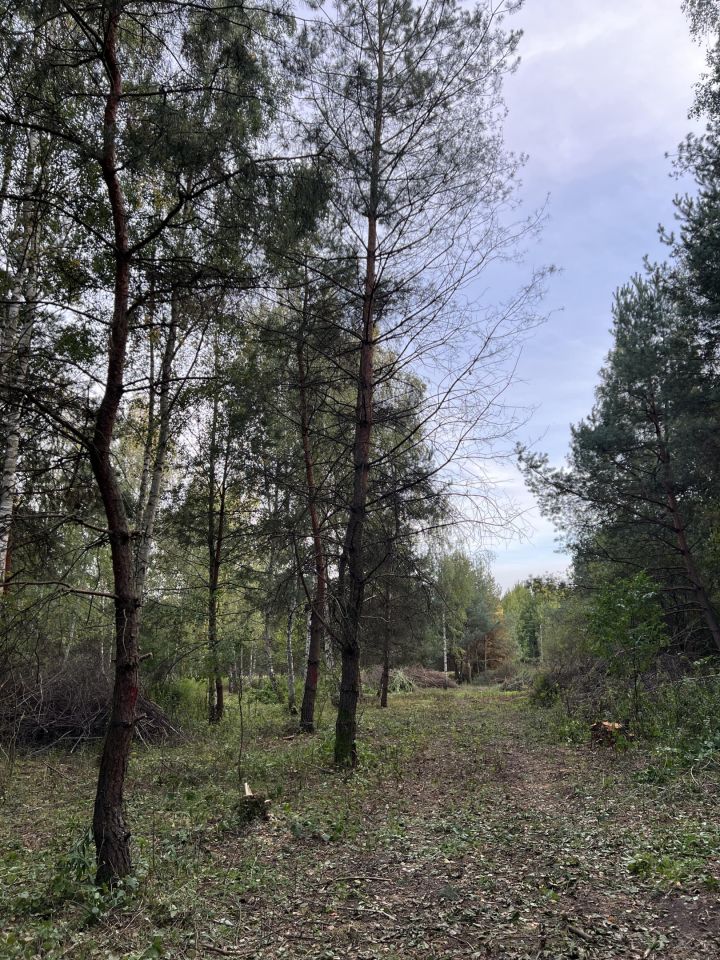 Działka budowlana Nowy Prażmów, ul. Wiśniowa. Zdjęcie 4