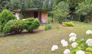 Działka rod Kalonka, ul. Aksamitna