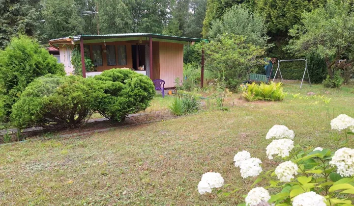 Działka rod Kalonka, ul. Aksamitna