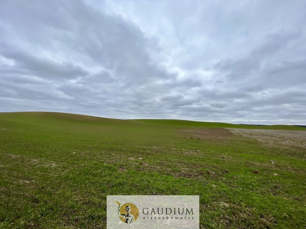 Działka Lubiszewo Tczewskie. Zdjęcie 8