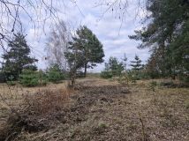 Działka budowlana Laski Małe. Zdjęcie 1