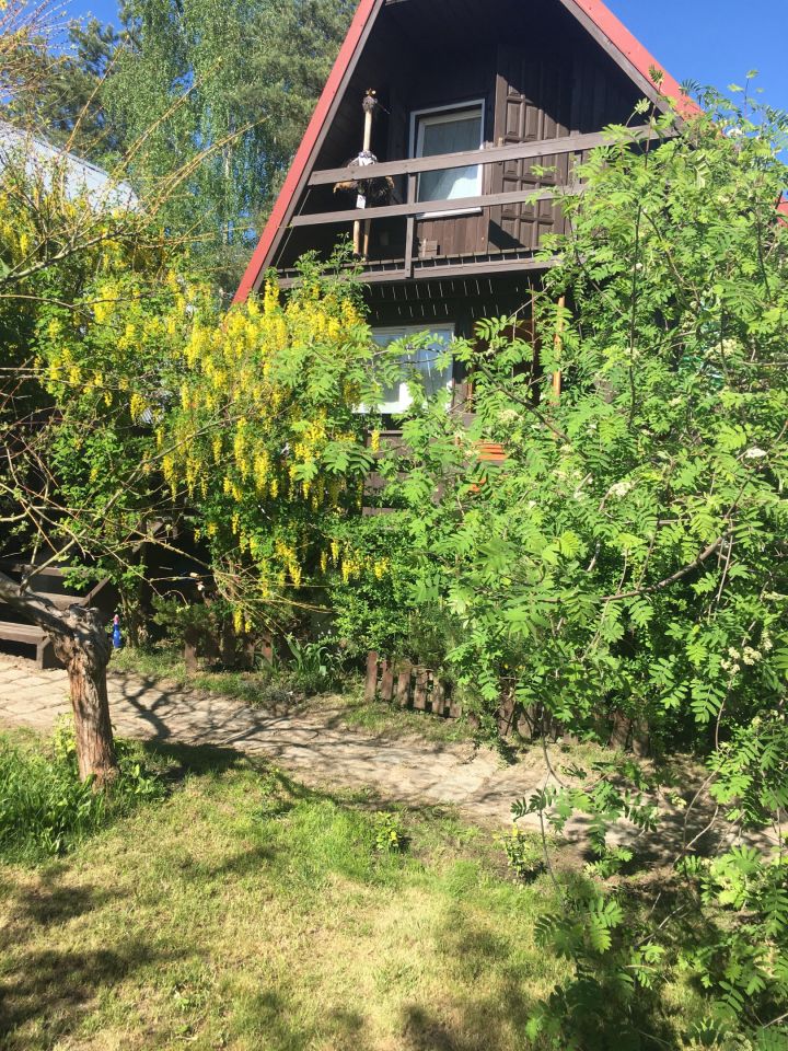 Działka rekreacyjna Czarne Małe. Zdjęcie 56