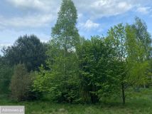 Działka budowlana Borowiec, ul. Księżnej Diany. Zdjęcie 1