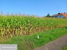 Działka budowlana Inwałd, ul. Zamkowa. Zdjęcie 4