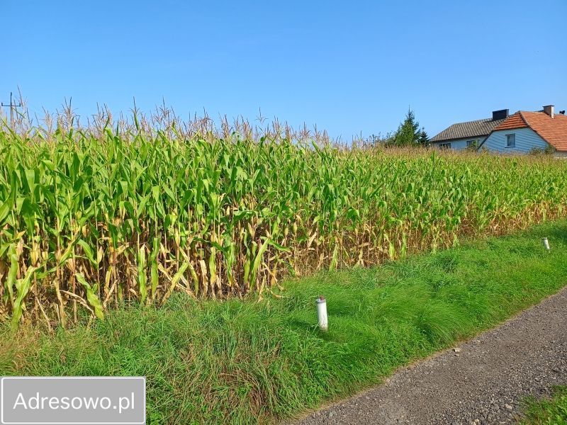 Działka budowlana Inwałd, ul. Zamkowa. Zdjęcie 5
