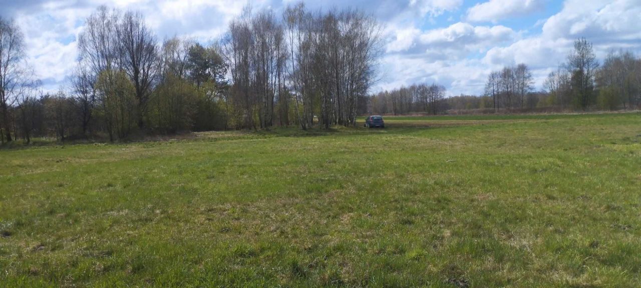 Działka rolna Zaczarnie