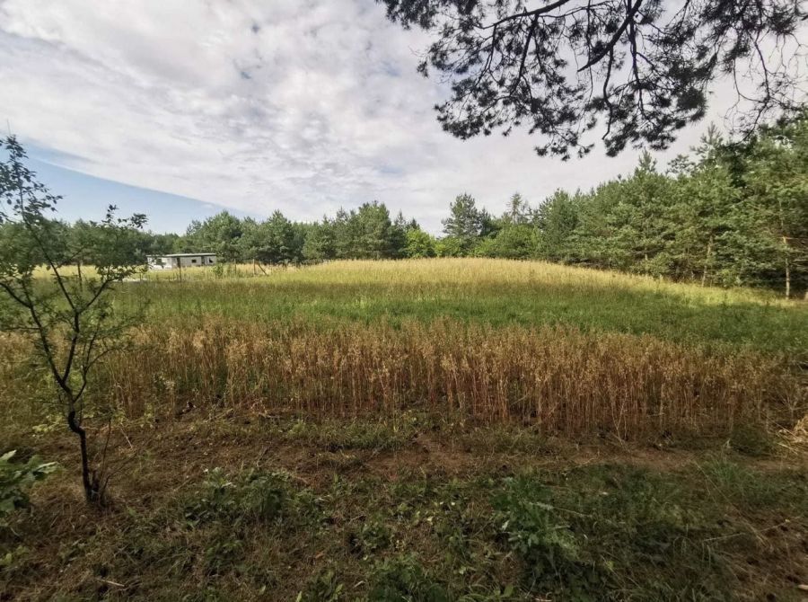 Działka budowlana Trzcińsk, ul. Dębowa. Zdjęcie 4