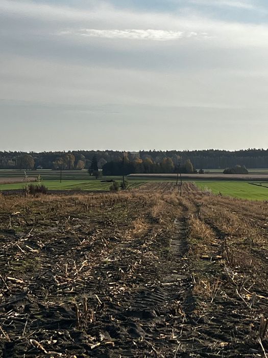 Działka rolna Rycice. Zdjęcie 2