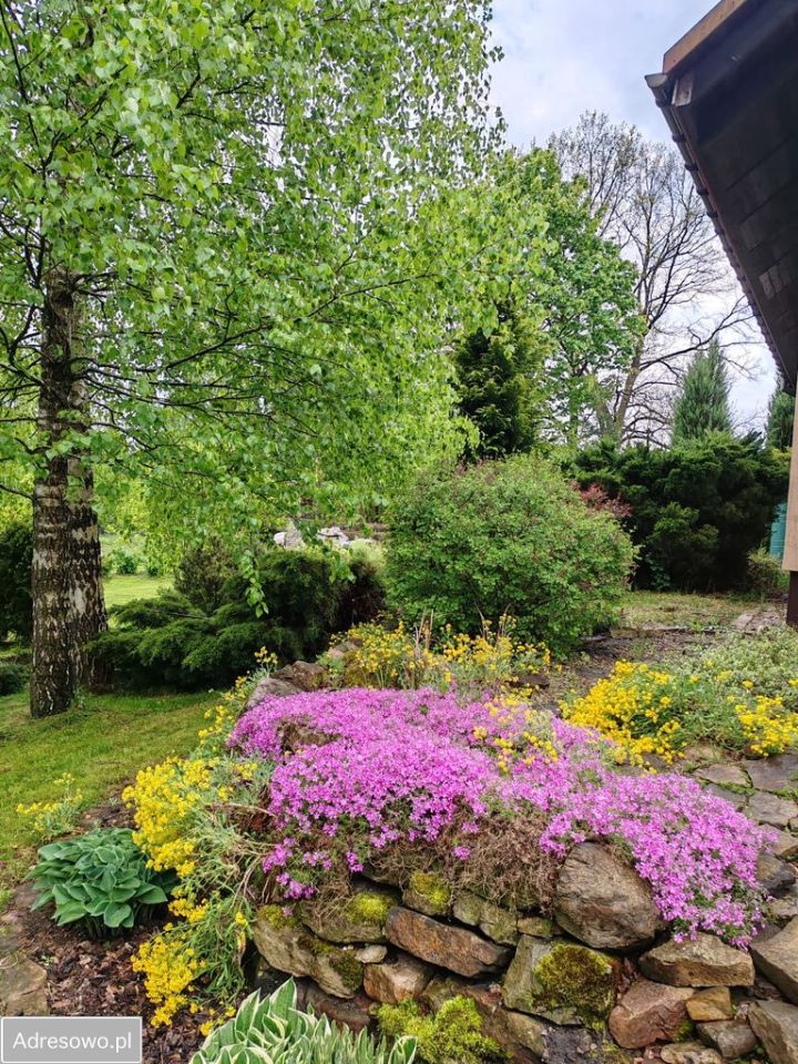 dom wolnostojący, 5 pokoi Parszów. Zdjęcie 10