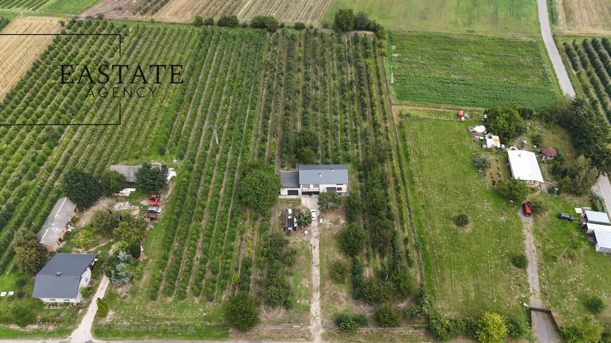 Działka rolna Świdno. Zdjęcie 4