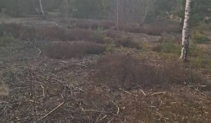 Działka rekreacyjna Karolówka