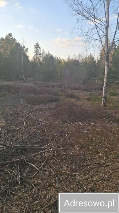Działka rekreacyjna Karolówka. Zdjęcie 1