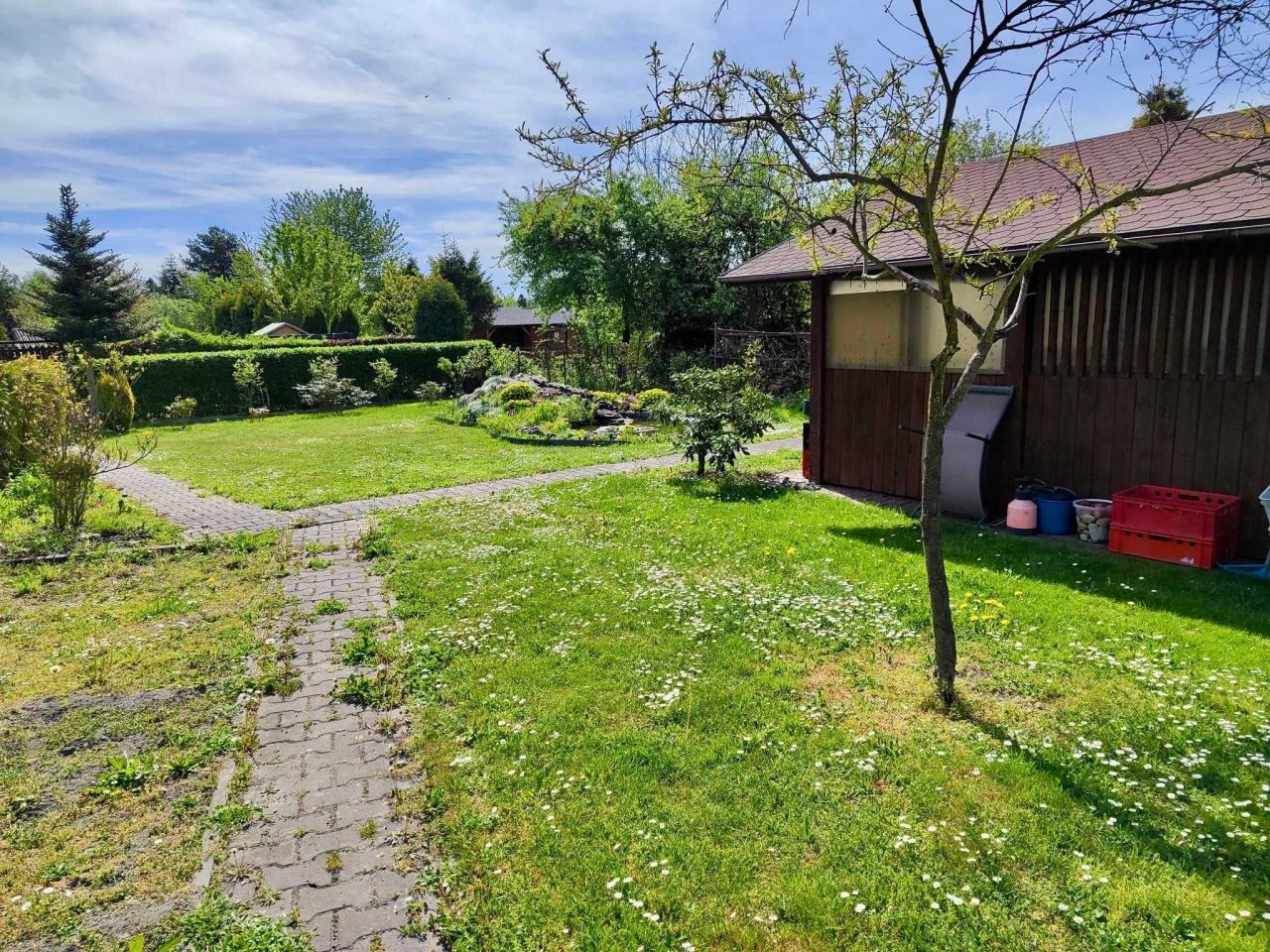 Działka rod Gliwice Trynek, ul. Liliowa. Zdjęcie 5