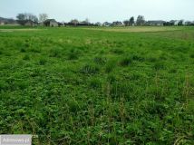 Działka rolna Chmielnik. Zdjęcie 3