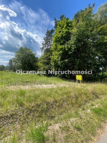 Działka leśna Toporzysko. Zdjęcie 5