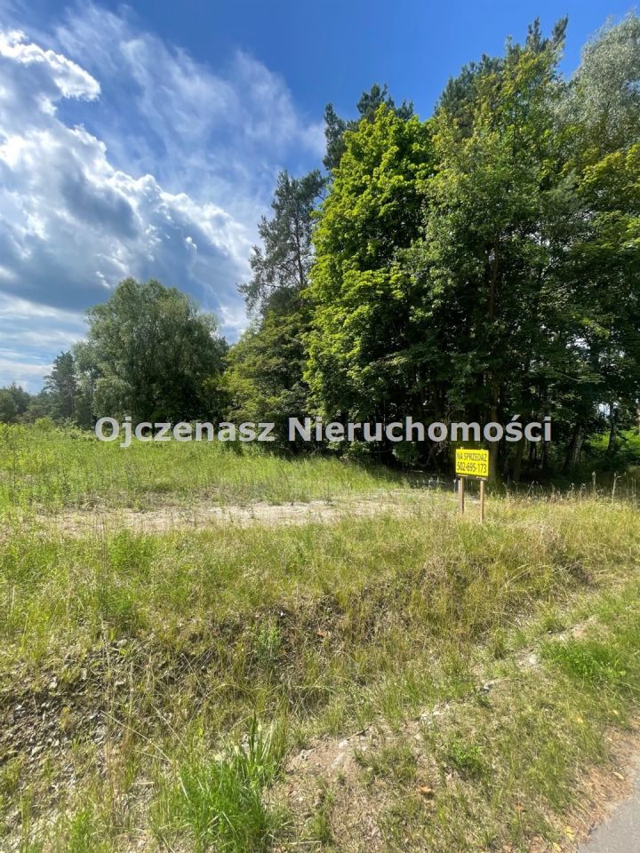 Działka leśna Toporzysko. Zdjęcie 5