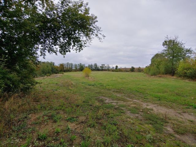 Działka budowlana Górzyca, ul. Rzepińska. Zdjęcie 1