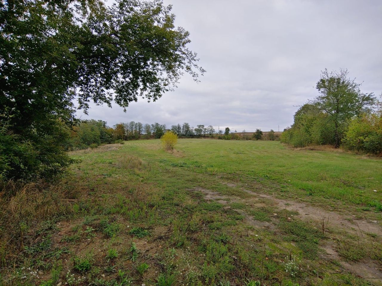 Działka budowlana Górzyca, ul. Rzepińska. Zdjęcie 1